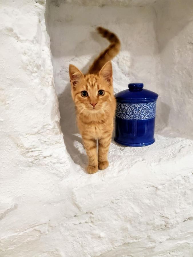 Sugar Blue Leilighet Mykonos Town Eksteriør bilde
